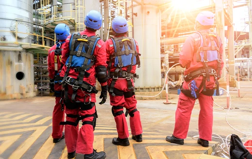 1-plantao-de-resgate