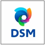 Fizemos Trabalhos para DSM